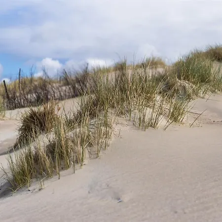 Inselhotel Bruns فندق