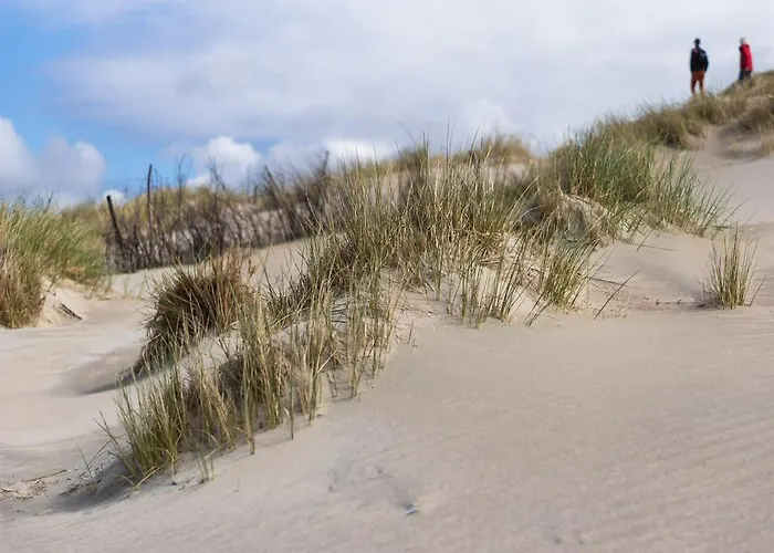 Inselhotel Bruns Hotel